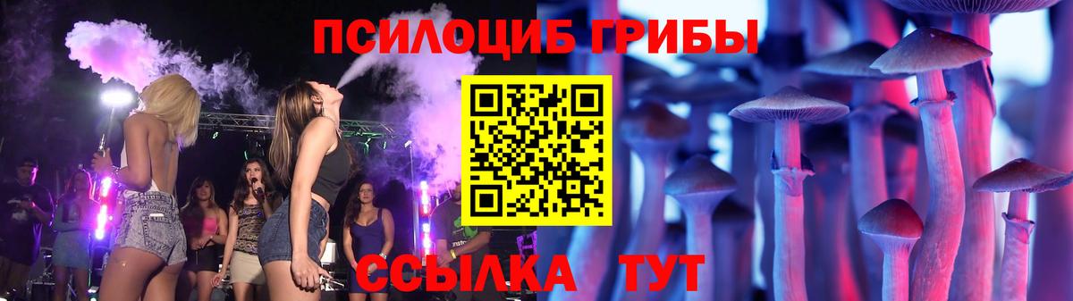 Псилоцибиновые грибы MAGIC MUSHROOMS  Вход с VPN  Гатчина 