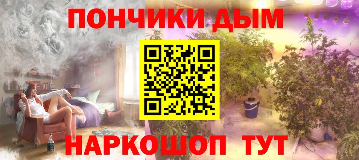 Бошки Шишки планчик Гатчина